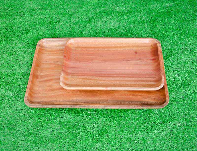 khay chu nhat lon 26x40 3