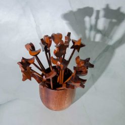 xien tim sao trang 1 1